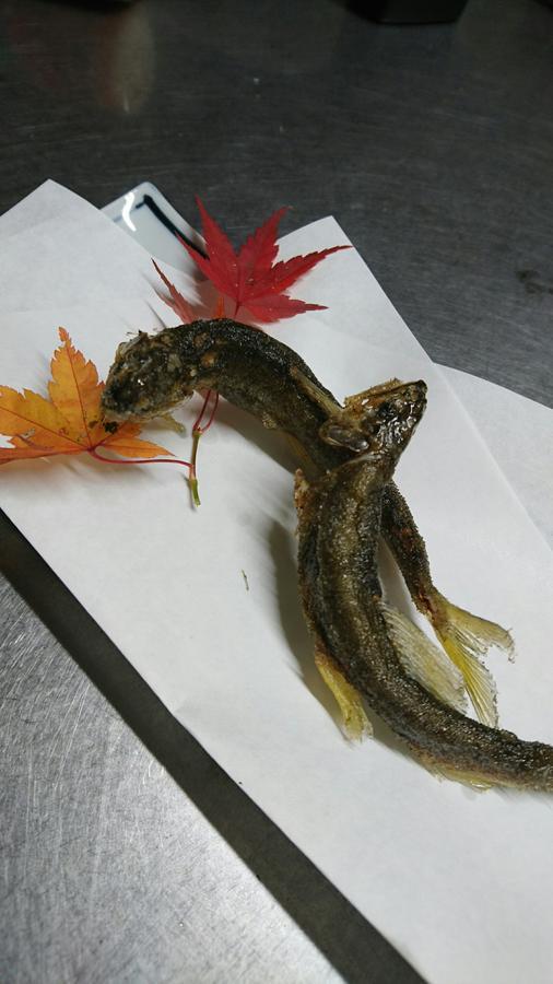 百合民宿 Urugi 外观 照片